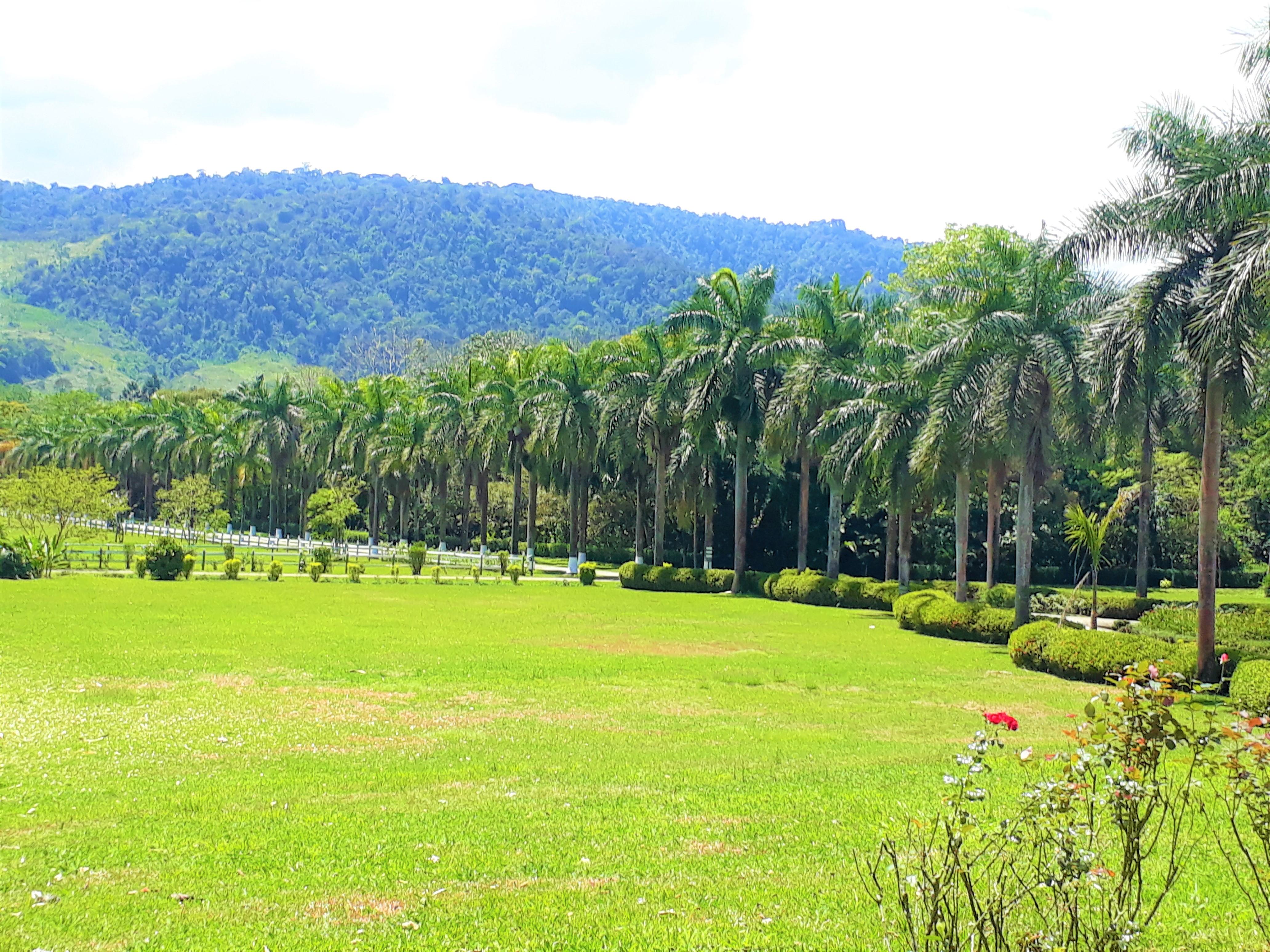 Hotel Casa Turire Turrialba Bagian luar foto