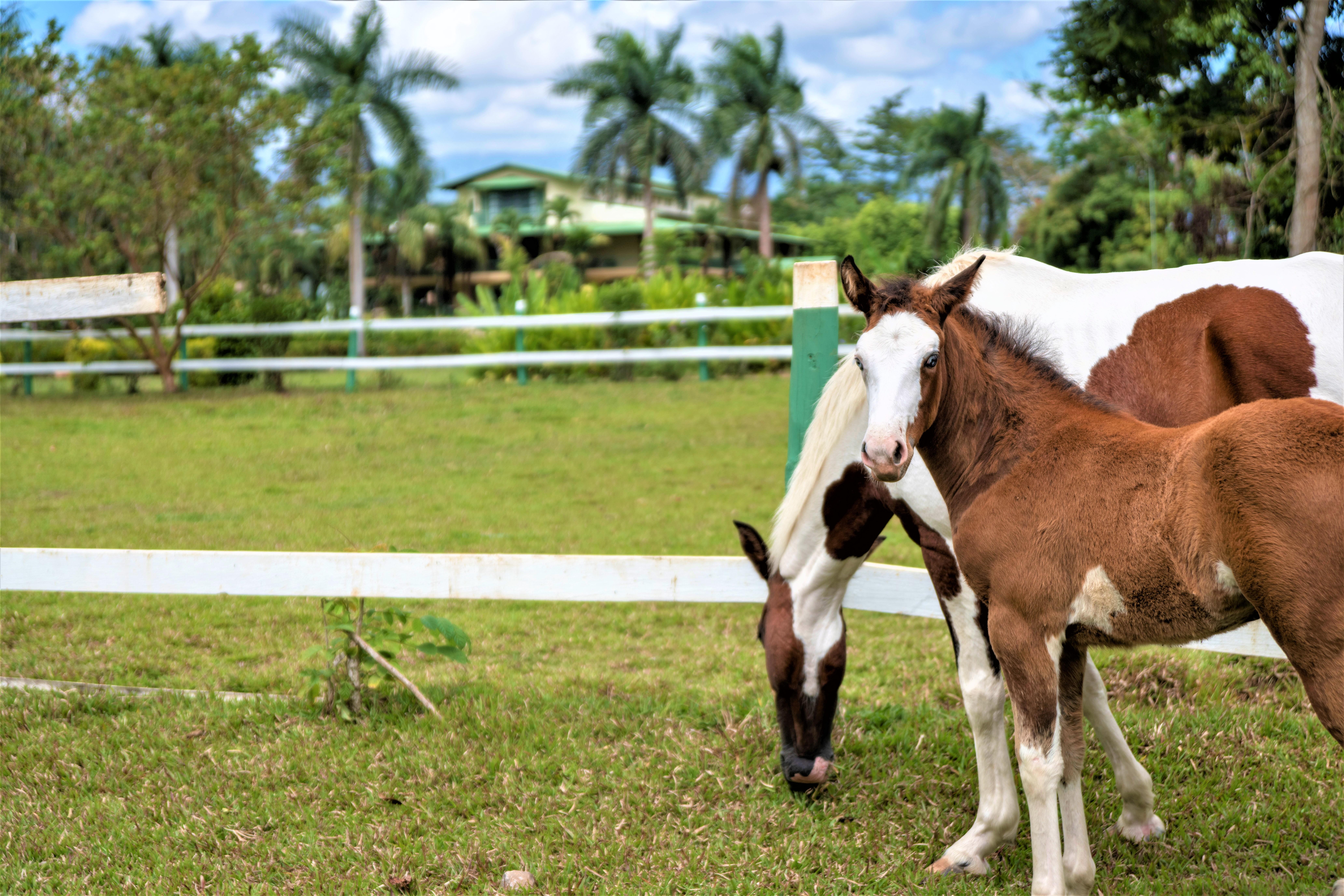 Hotel Casa Turire Turrialba Bagian luar foto
